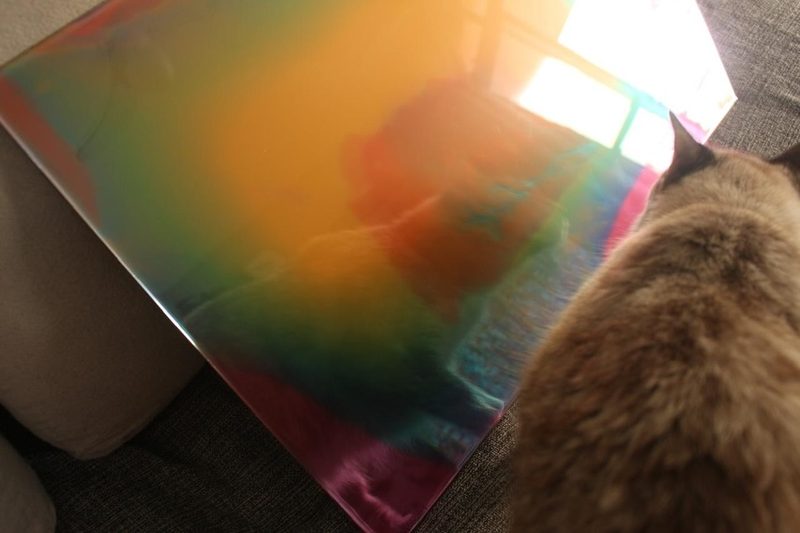 Um gato ao lado de um espelho retangular em laranja, verde e rosa.
